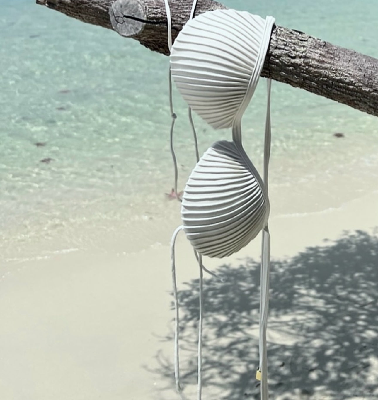 BIKINI SHELL - WHITE